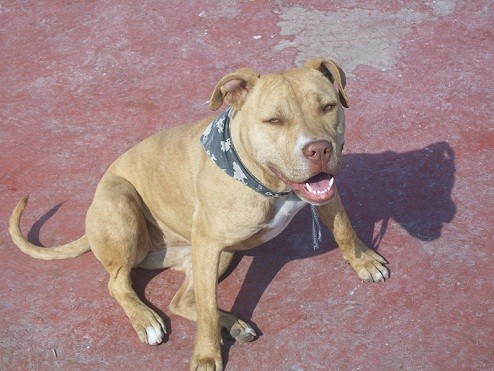 esta es mi nena juguetona esta es mi nena juguetona